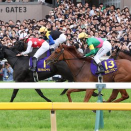 【ローズＳ】好感触しか伝わってこないタガノアビー、パラディレーヌの千田厩舎の強力な２本矢