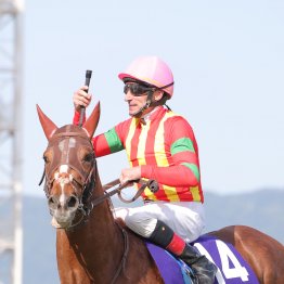 先週は本番と同じ舞台で前哨戦が３鞍 凱旋門賞のオッズはどう動いたのか