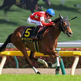 【ローズＳ】秋に目標を絞ったルージュソリテール