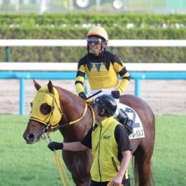 【飯島の土曜競馬コラム・初風Ｓ】