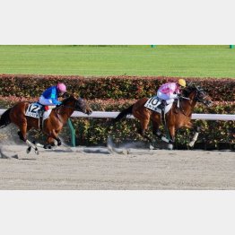 昨春に東京ダート千四で２勝クラスを卒業