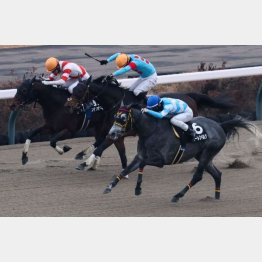 中山新春ジャンプを快勝
