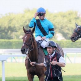 【橘の土曜競馬コラム・チャレンジＣ】