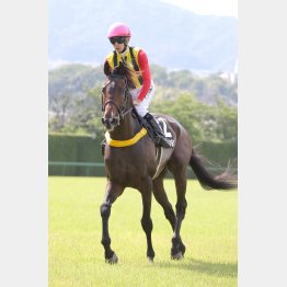 素質馬が本格化