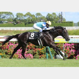 長期休養明けを快勝