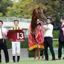 ２０１０年セントライト記念覇者クォークスター