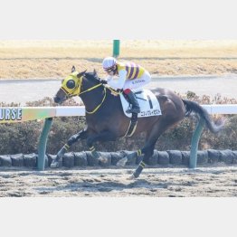 中山千八で2勝目を目指す