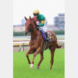 オークスは大健闘の〝銅メダル〟