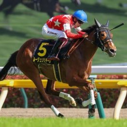 【武田の日曜競馬コラム・ローズＳ】