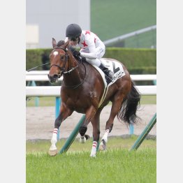 マイペースに持ち込むか