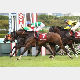 16年はオークス馬シンハライトが１番人気に応えた