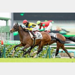 中山で初勝利