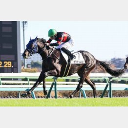 好内容で２勝クラスを卒業