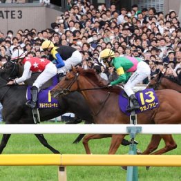 【ローズＳ】タガノアビー　パラディレーヌ引き連れ千田厩舎のワンツー