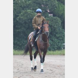 ここで良血が開花する