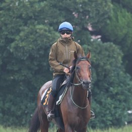 【播磨の月曜競馬コラム・セントライト記念】