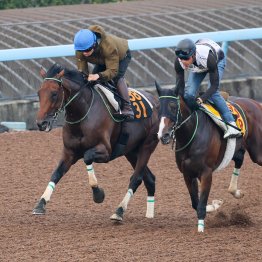 【藤岡の月曜競馬コラム・セントライト記念】