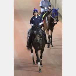 先週は戸崎が騎乗した