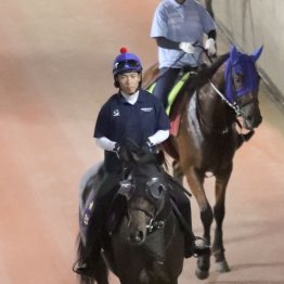 【勝羽の月曜競馬コラム・セントライト記念】