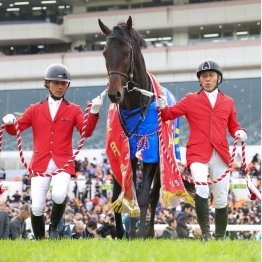 クラシックホースの取捨は……