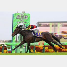 セントライト記念はＧⅠ馬を素直に信頼