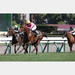 涼しい北海道では余力残しの連勝