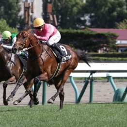 【大谷の月曜競馬コラム・セントライト記念】