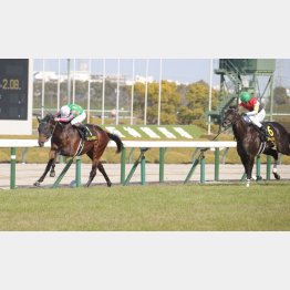 デビュー2戦目でGⅠ級の記録を残している