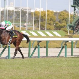 【武田の月曜競馬コラム・セントライト記念】