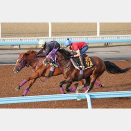 今週は横山武が感触を確かめた