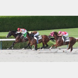 前走は４角先頭で押し切った