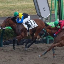 【レスキュー隊の月曜競馬コラム・中山12Ｒ】