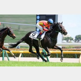１勝クラスも完勝