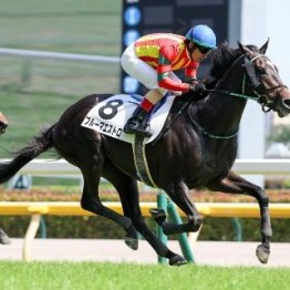 【東京本紙・外山の月曜中山10Ｒ】