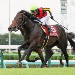 【セントライト記念】皐月賞馬ミュージアムマイルが貫録勝ち