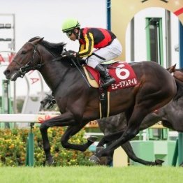 【セントライト記念】ミュージアムマイル貫禄勝ち