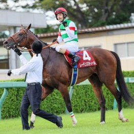 【オールカマー】レガレイラ注目の始動戦