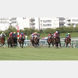 20年は1→3→14番人気で決着