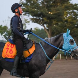 【オールカマー】走っても走っても人気薄　フェアエールング強敵撃破