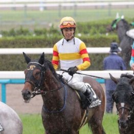 【市川の土曜競馬コラム・大阪スポーツ杯】