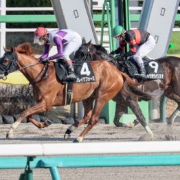 【新居の土曜競馬コラム・イサ殿下御来場記念】