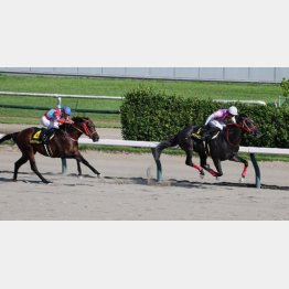ＢＳＮ賞でオープン初勝利
