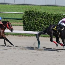 【武田の土曜競馬コラム・イサ殿下御来場記念】