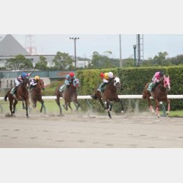 シリウスＳで③着善戦