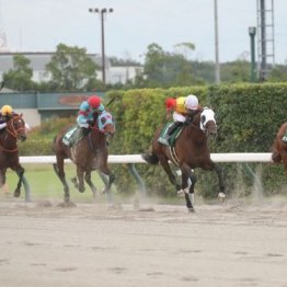 【橘の土曜競馬コラム・イサ殿下御来場記念】