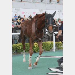 昇級戦でも首位争い