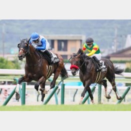 右回りの前々走で③着