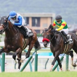 【東京本紙・外山の土曜中山10Ｒ】