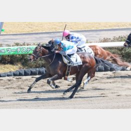 中山で1勝クラス勝ち