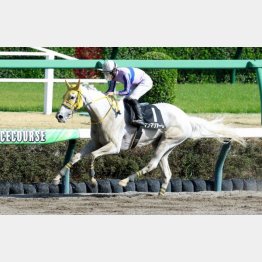 4走前、この舞台で3勝クラスを卒業